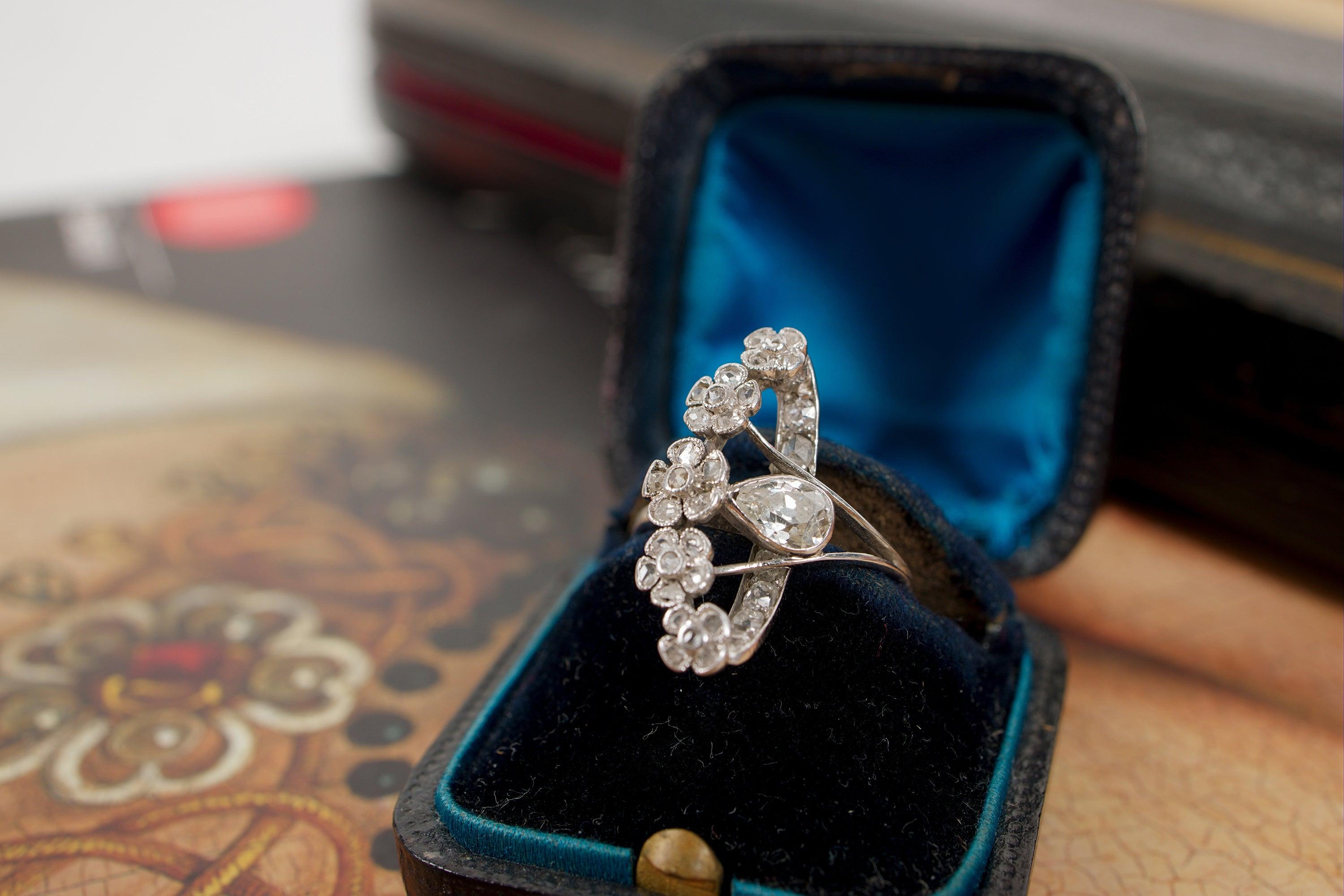 New Arrivals - Curiously timeless