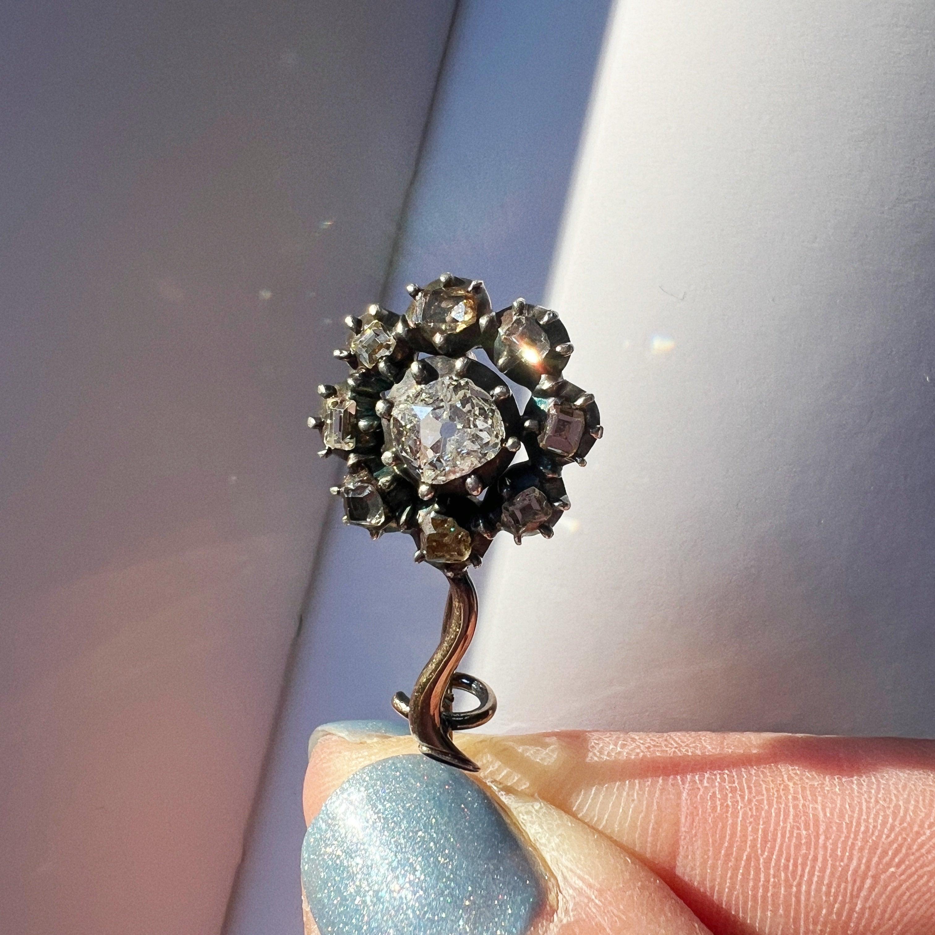 Mini Marvels - Curiously timeless