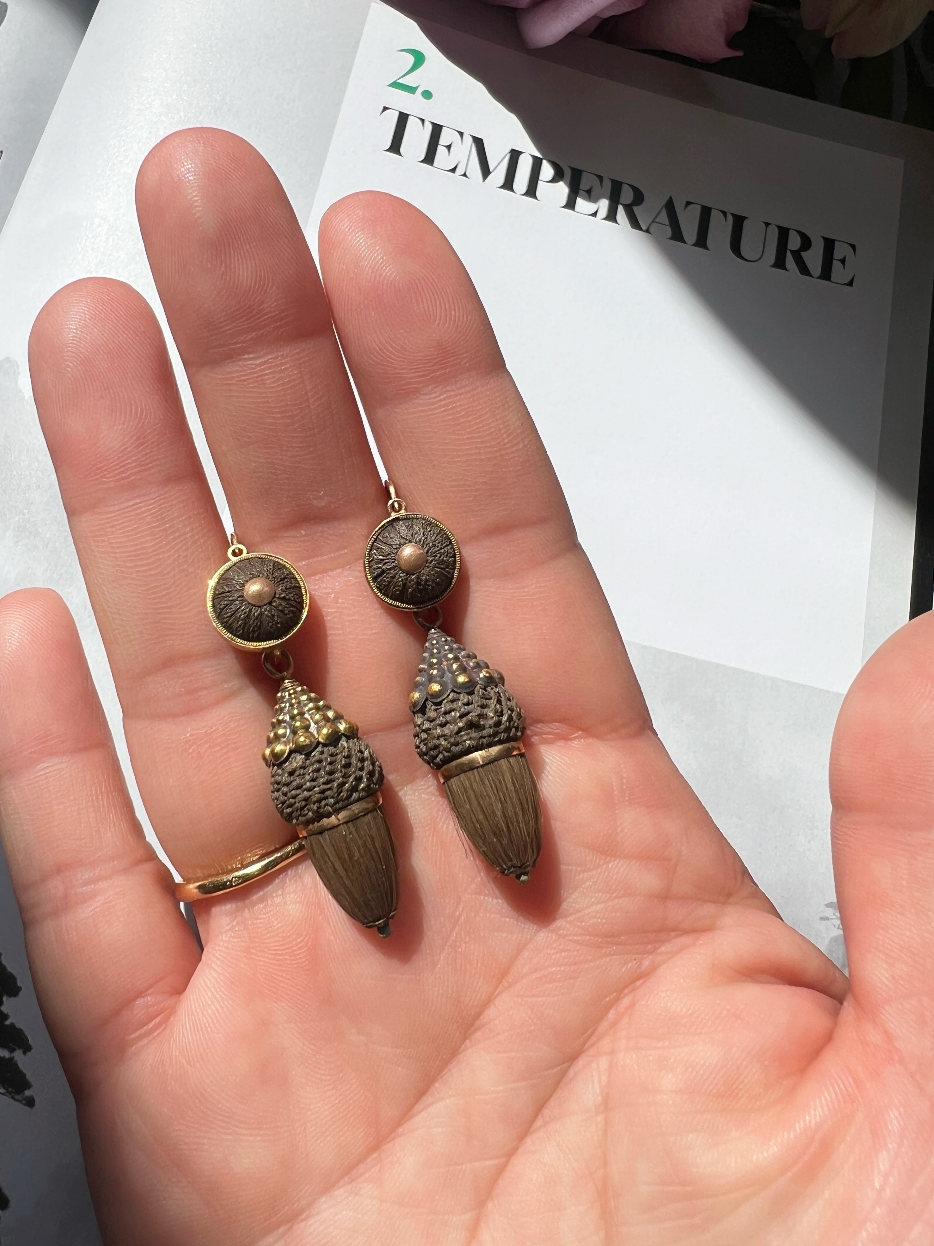 Victorian era 18K gold Day & Night Woven Hair Acorns Earrings