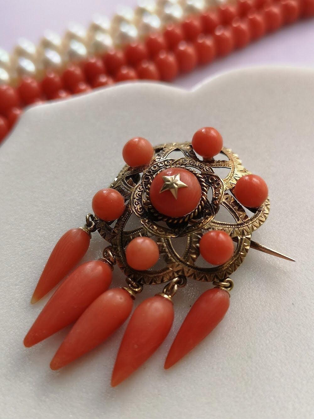 Antique 18k gold coral star brooch - Curiously timeless