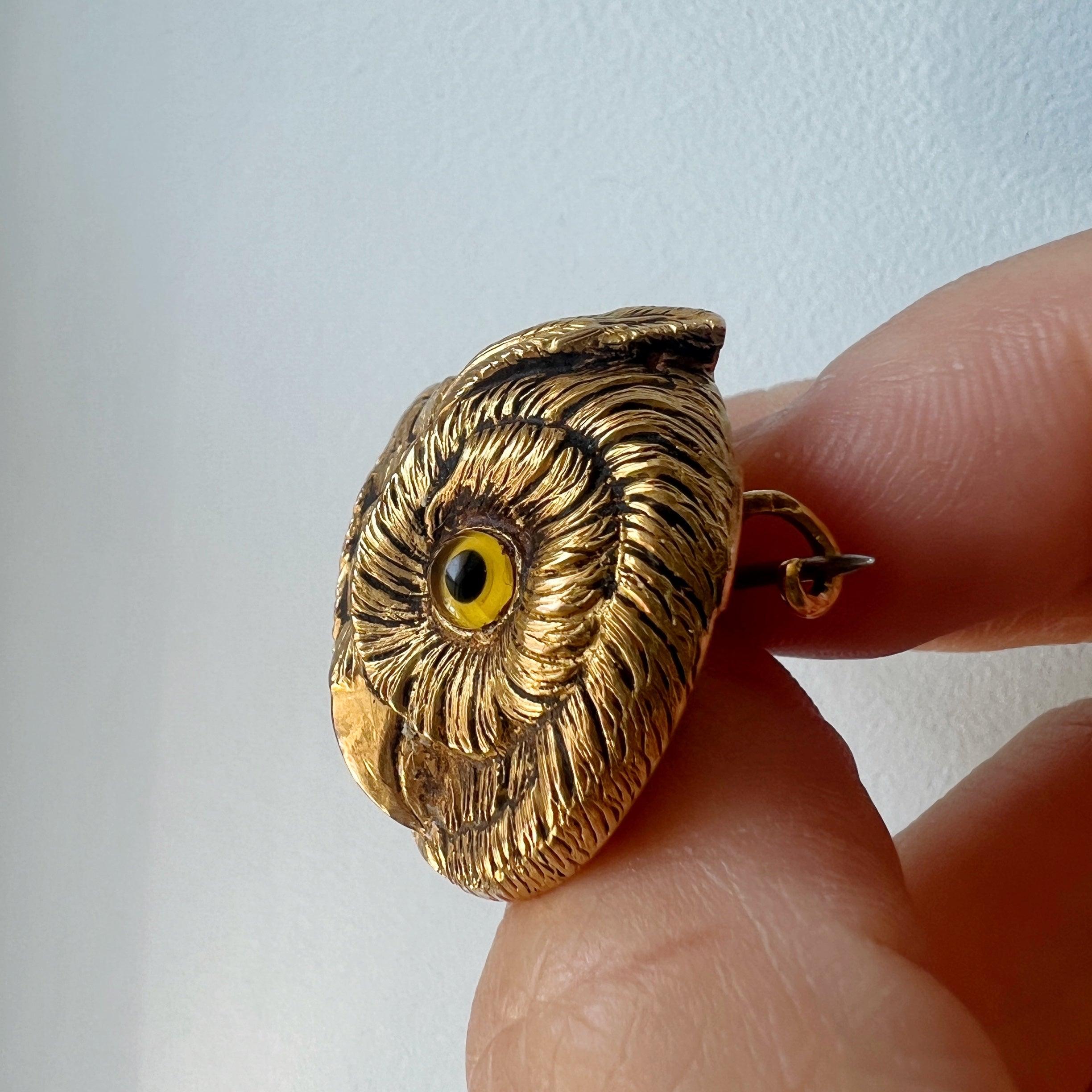 Exceptional Victorian era 18K gold owl brooch - Curiously timeless