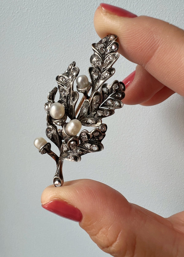 natural pearl diamond acorn oak leaves brooch