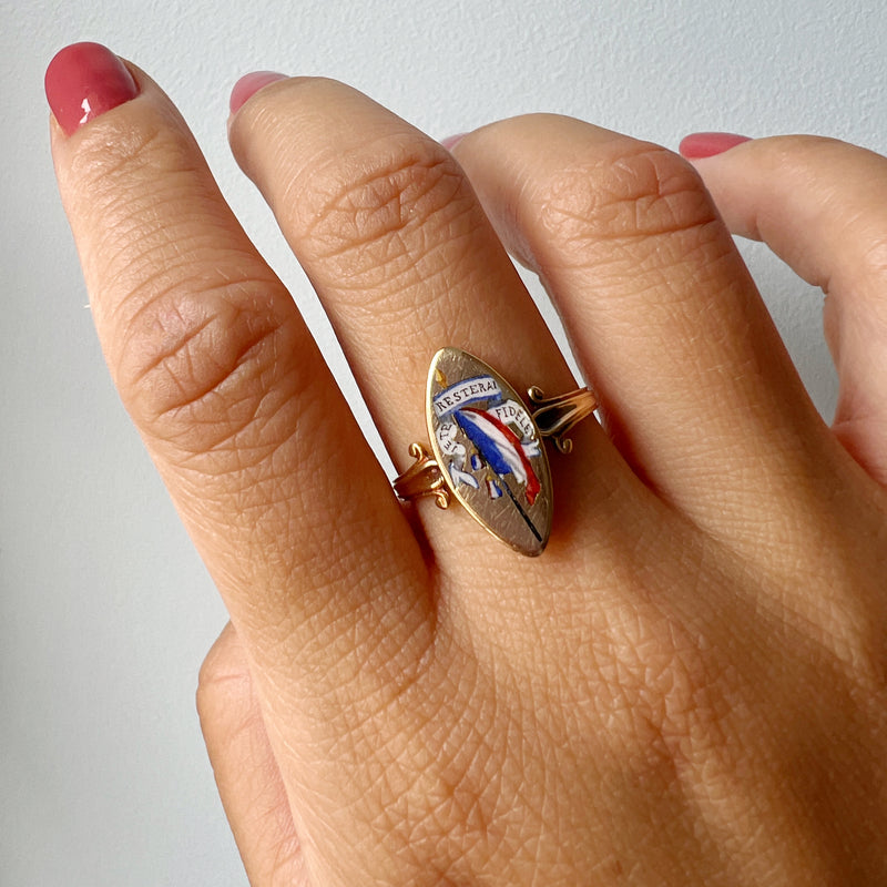 Victorian era 18K enamel ring