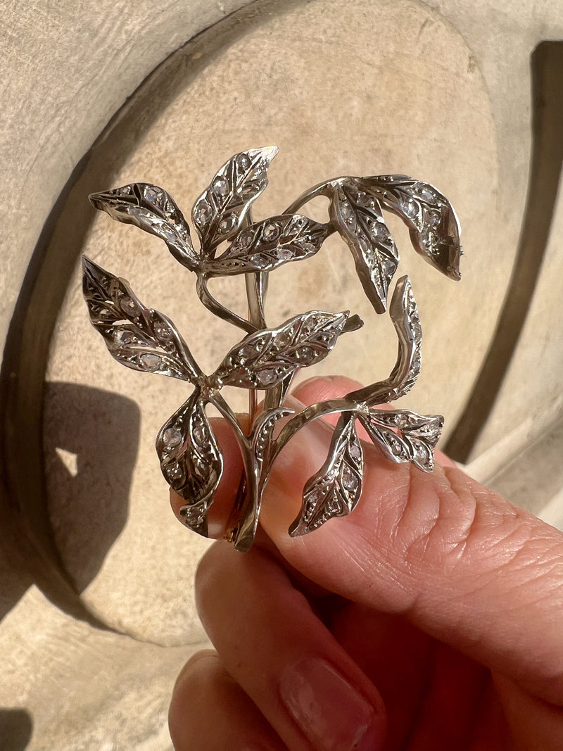 Important Art Nouveau era 18K gold diamond leaves brooch