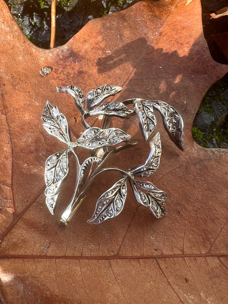 Important Art Nouveau era 18K gold diamond leaves brooch