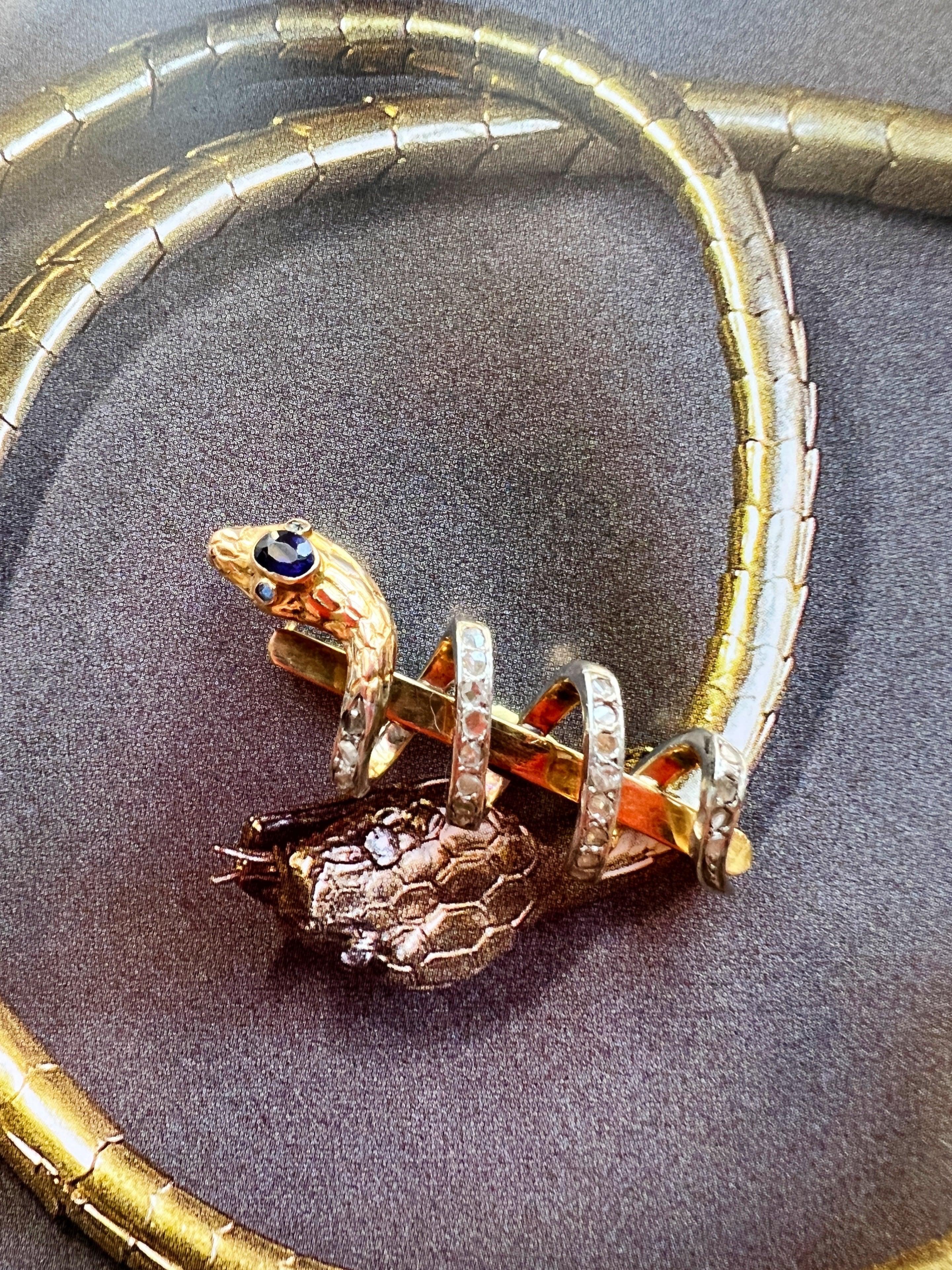 Beautiful French Antique 18k gold Sapphire Rose Cut diamond snake brooch - Curiously timeless